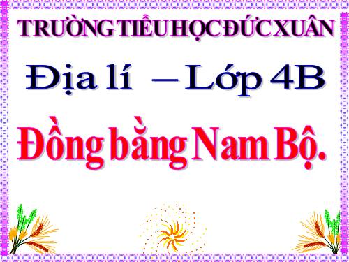 Bài 17. Đồng bằng Nam Bộ