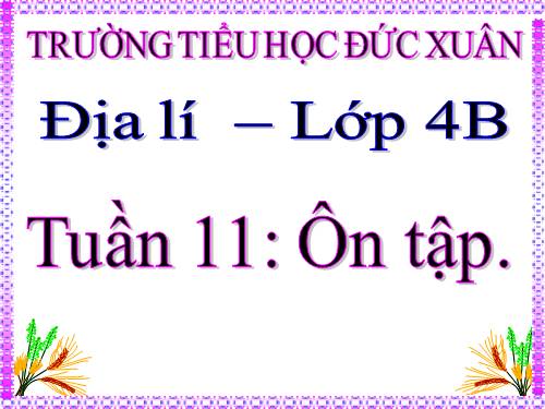 Bài 10. Ôn tập