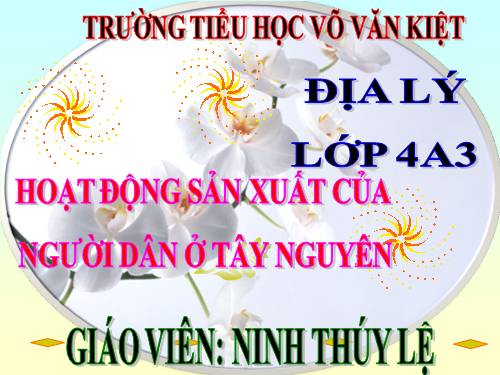 Bài 7-8. Hoạt động sản xuất của người dân ở Tây Nguyên