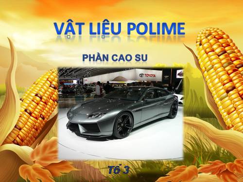 Bài 14. Vật liệu polime