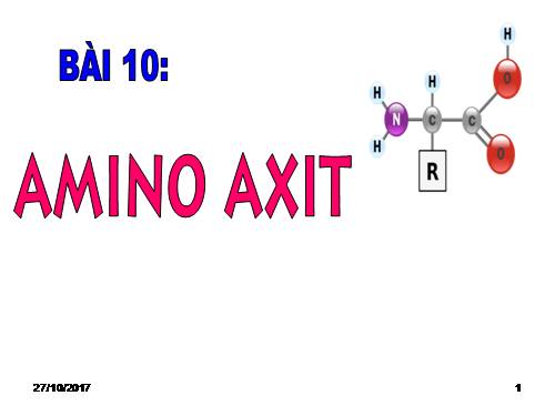 Bài 10. Amino axit