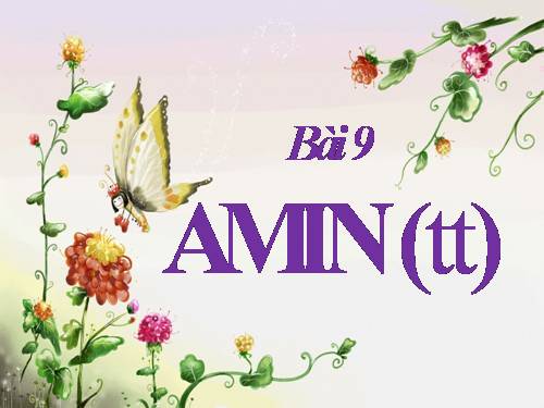 Bài 9. Amin