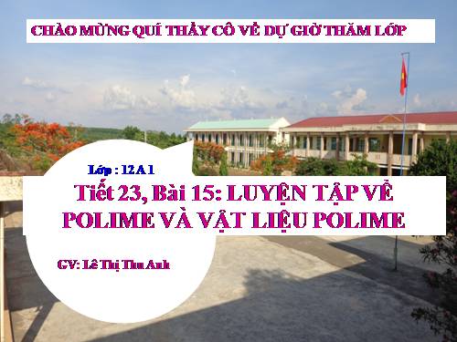 Bài 15. Luyện tập: Polime và vật liệu polime