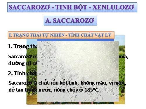 Bài 6. Saccarozơ, tinh bột va xenlulozơ