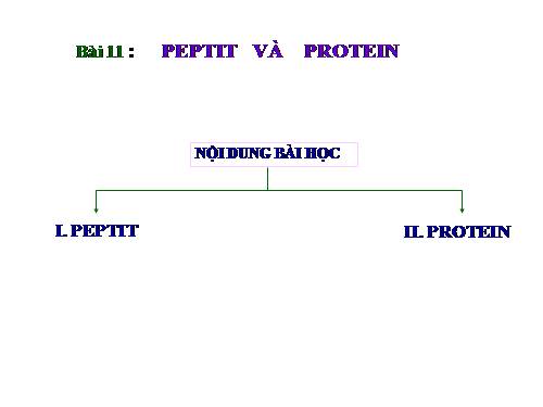 Bài 11. Peptit va protein