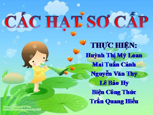 Hạt sơ cấp