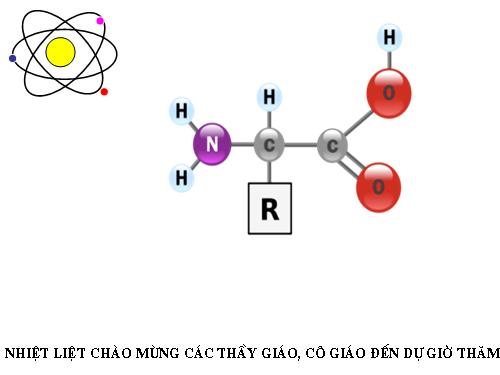 Bài 10. Amino axit