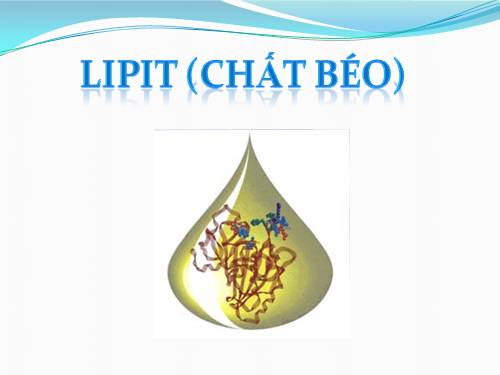 Bài 2. Lipit