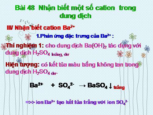 Bài 40. Nhận biết một số ion trong dung dịch