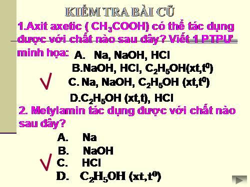 Bài 10. Amino axit