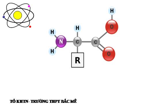 Bài 10. Amino axit