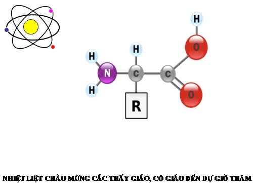 Bài 10. Amino axit