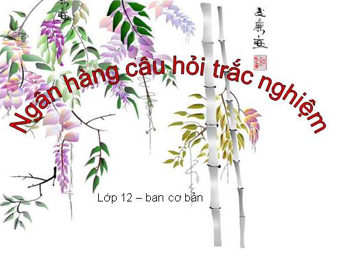 Bài 13. Đại cương về polime