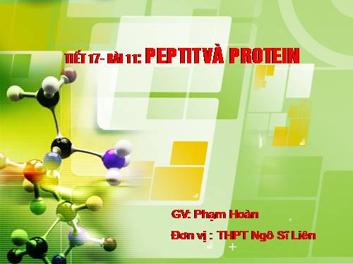 Bài 11. Peptit va protein