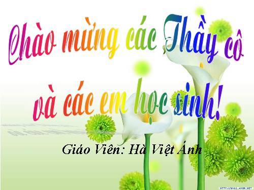 Bài 14. Vật liệu polime