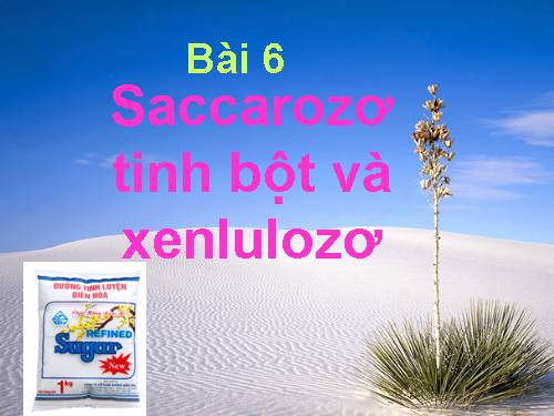 Bài 6. Saccarozơ, tinh bột va xenlulozơ