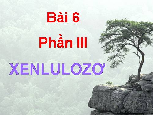 Bài 6. Saccarozơ, tinh bột va xenlulozơ