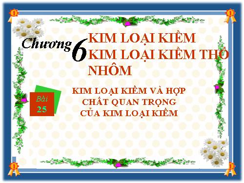 Bài 25. Kim loại kiềm và hợp chất quan trọng của kim loại kiềm