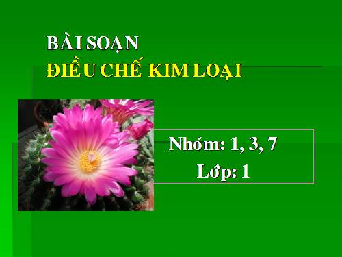 Bài 21. Điều chế kim loại