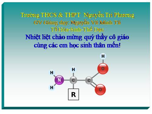 Bài 10. Amino axit