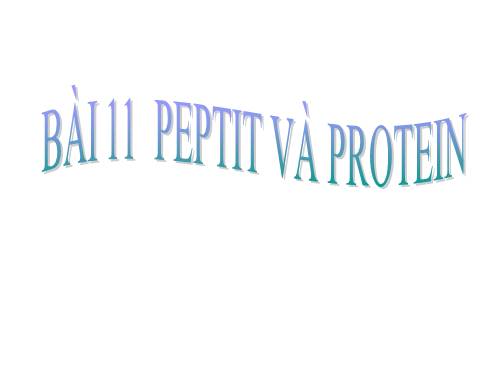 Bài 11. Peptit va protein