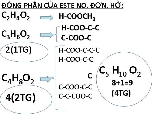 đồng phân ancol-andehit-axit-este-amin-aminoaxit