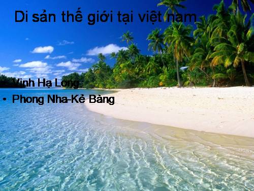 tinhoc hạ long