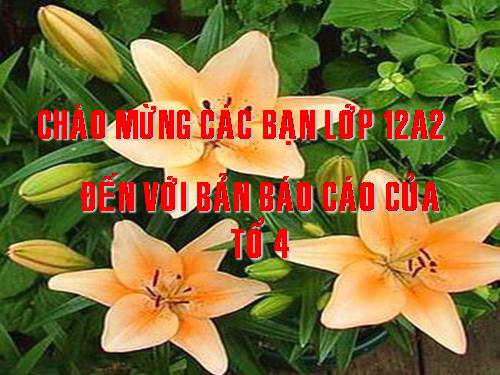 Bài 43. Hóa học và vấn đề phát triển kinh tế