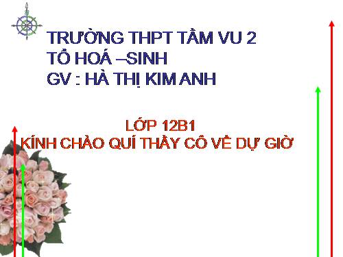 Bài 31. Sắt