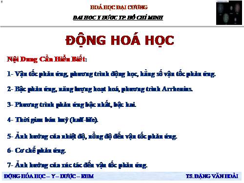 Động hóa học