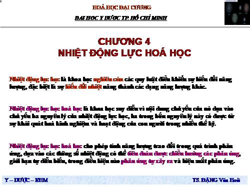 Nhiệt động lực hóa học