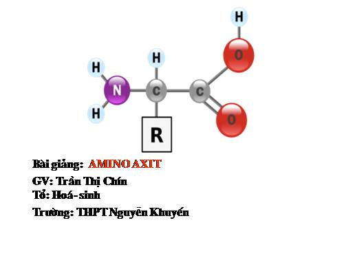 Bài 10. Amino axit