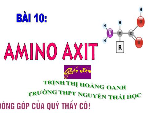 Bài 10. Amino axit