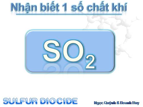 Bài 41. Nhận biết một số chất khí