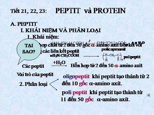 Bài 11. Peptit va protein