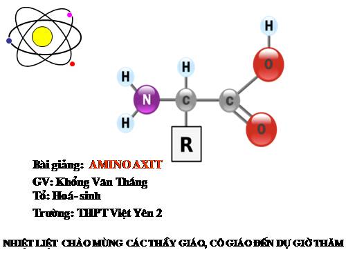 Bài 10. Amino axit