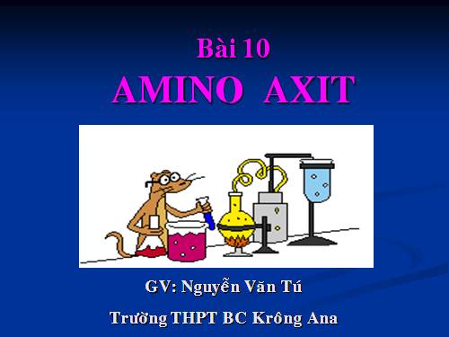 Bài 10. Amino axit