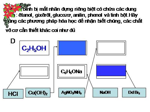 bài tập amino axit