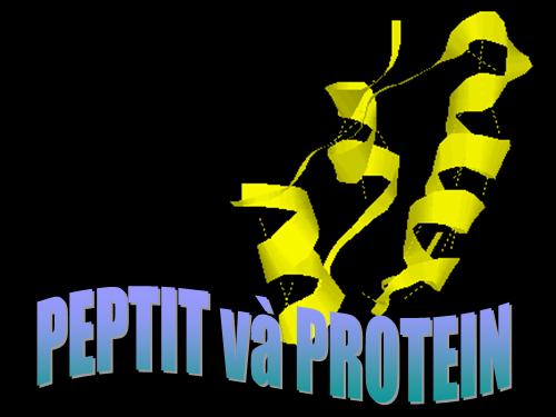 Bài 11. Peptit va protein