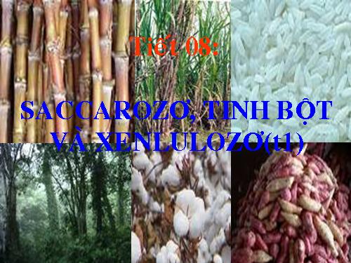 Bài 6. Saccarozơ, tinh bột va xenlulozơ