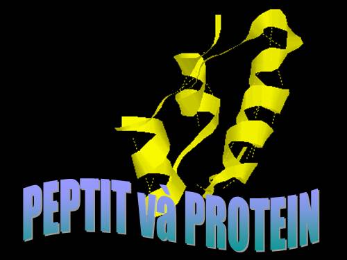 Bài 11. Peptit va protein