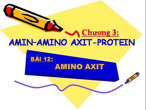 Bài 10. Amino axit