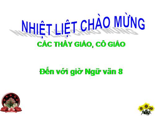 Bài 22. Câu phủ định