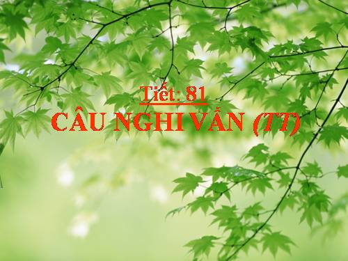 Bài 18. Câu nghi vấn