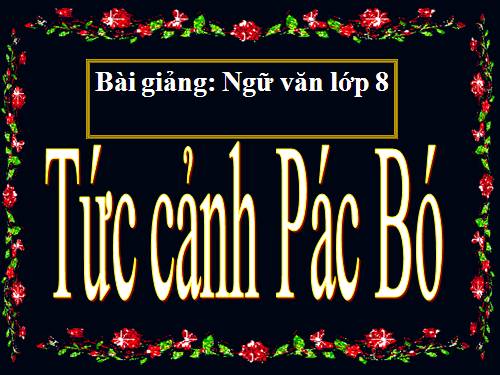 Bài 20. Tức cảnh Pác Bó