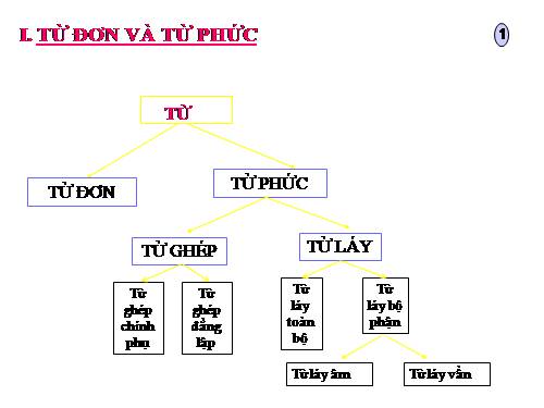 Bài 9. Tổng kết về từ vựng (Từ đơn, từ phức,... từ nhiều nghĩa; Từ đồng âm,... trường từ vựng)