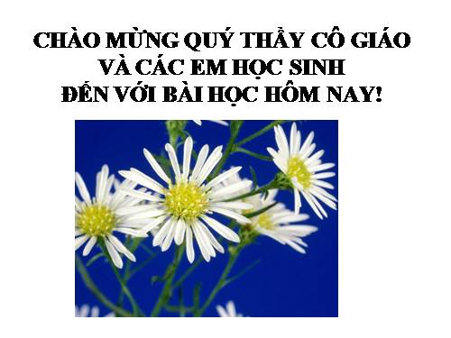 Bài 15. Chiếc lược ngà