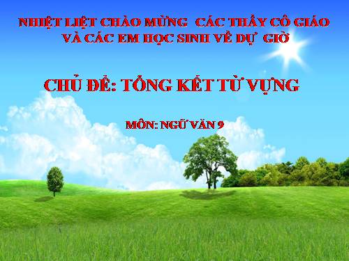 Bài 10. Tổng kết về từ vựng (Sự phát triển của từ vựng,... trau dồi vốn từ)