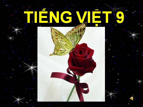 Bài 11. Tổng kết về từ vựng (Từ tượng thanh, tượng hình, một số phép tu từ từ vựng)