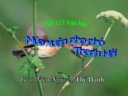 Bài 23. Mùa xuân nho nhỏ